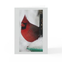 Tarjeta de Navidades cardinales masculinos