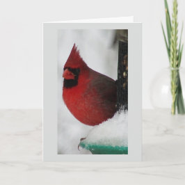 Tarjeta de Navidades cardinales masculinos