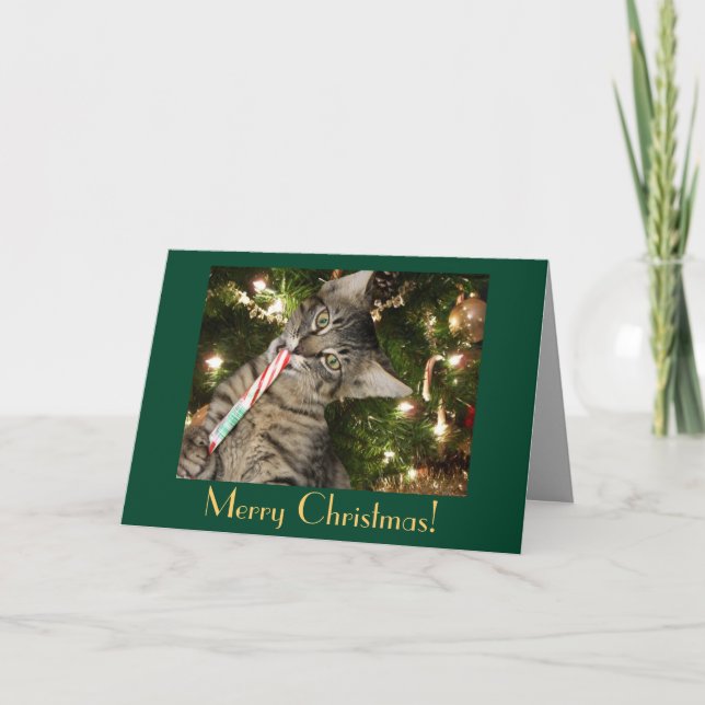 Tarjeta de Navidades Cat Candy Cane Blank (Anverso)