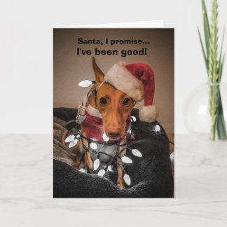 Tarjeta de Navidades Cirneco dell'Etna