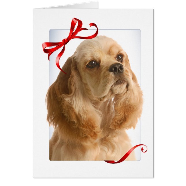 Tarjeta de Navidades Cocker Spaniel (Frente)