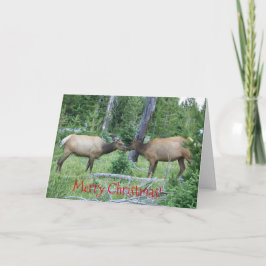 Tarjeta de navidades con alce de Yellowstone