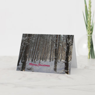 Tarjeta de navidades con Feliz Navidad