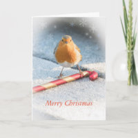 tarjeta de navidades con robin y Navidades dulces