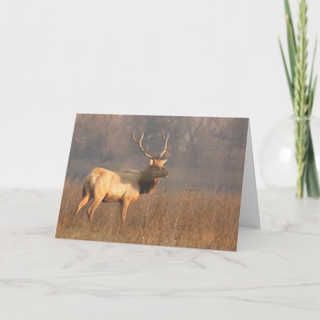 Tarjeta de navidades con Tule elk (Anverso)