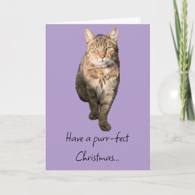tarjeta de navidades con un encantador gato tabby (Anverso)
