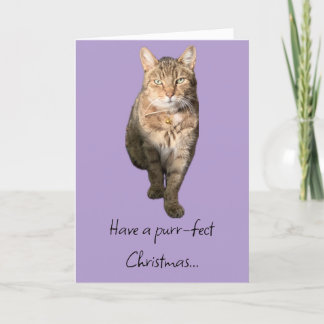 tarjeta de navidades con un encantador gato tabby