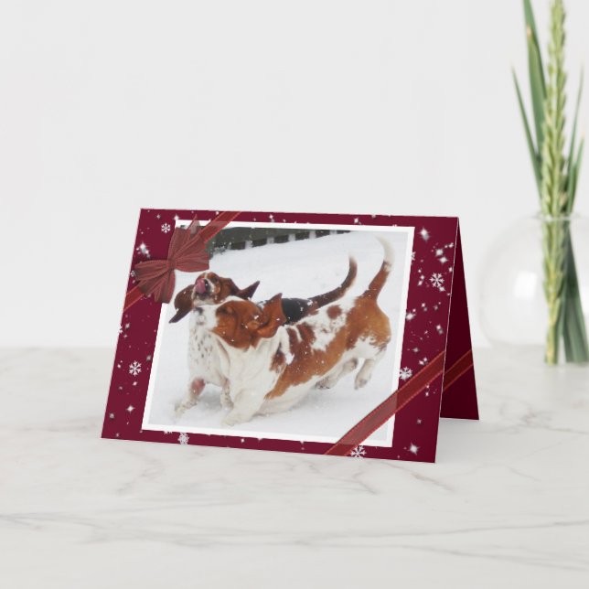 Tarjeta de Navidades cortos con hongos basset en n (Anverso)