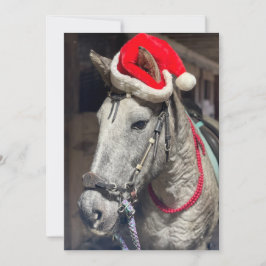 Tarjeta de Navidades Curly Horse