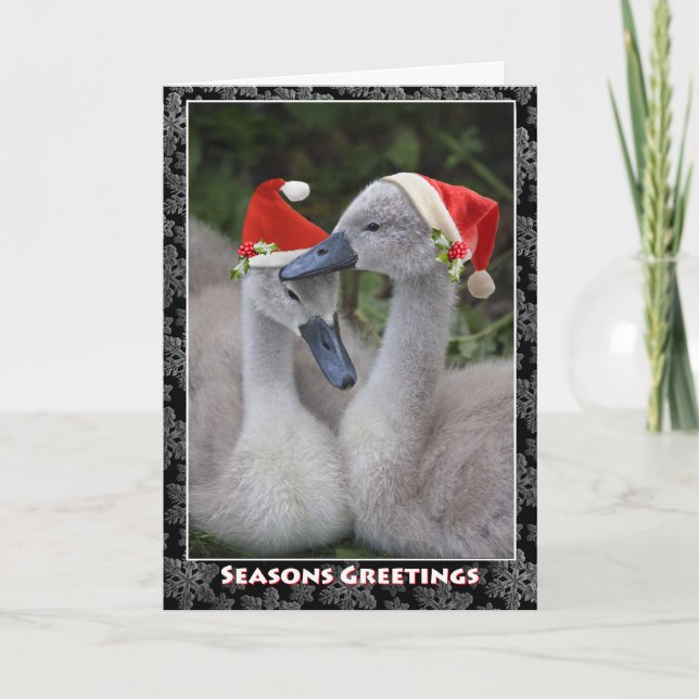 Tarjeta de Navidades Cygnet (Anverso)