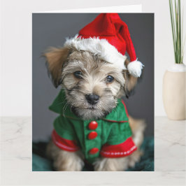 Tarjeta de Navidades Dandie Dinmont Terrier Elf Pu
