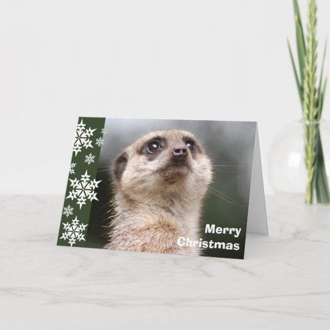 Tarjeta de Navidades de Alert Meerkat (Anverso)