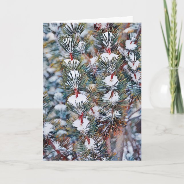 Tarjeta de Navidades de arte de ramas de pino (Anverso)