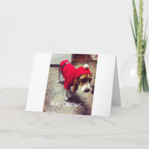 Tarjeta de Navidades de Bah Humbug Beagle