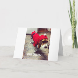 Tarjeta de Navidades de Bah Humbug Beagle