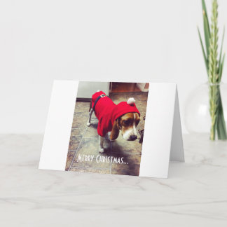 Tarjeta de Navidades de Bah Humbug Beagle