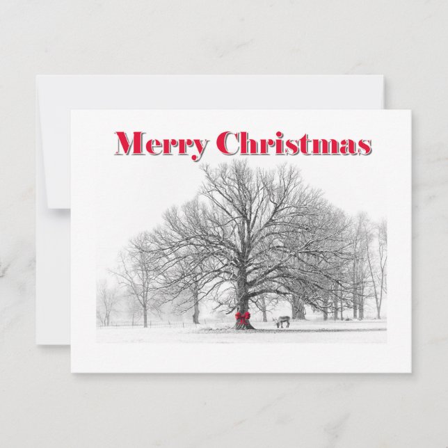 Tarjeta de Navidades de barro rojo (plana) para la (Anverso)