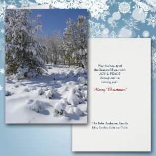 Tarjeta de Navidades de belleza forestal de Colora