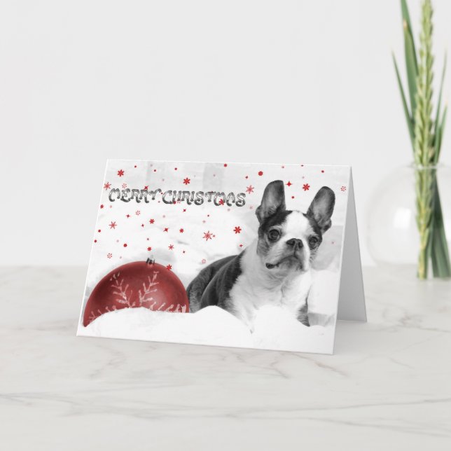 Tarjeta de Navidades de Boston Terrier (Anverso)