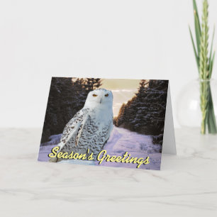 Tarjeta de Navidades de búho de nieve