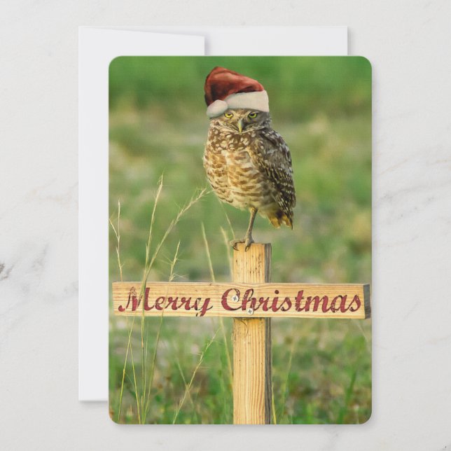 Tarjeta de Navidades de búho de Santa Owl Grande 5 (Anverso)