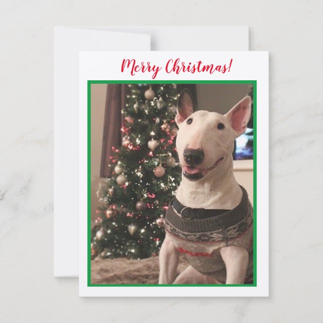 Tarjeta de Navidades de Bull Terrier Sonriente (Anverso)