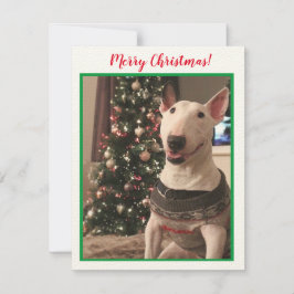 Tarjeta de Navidades de Bull Terrier Sonriente