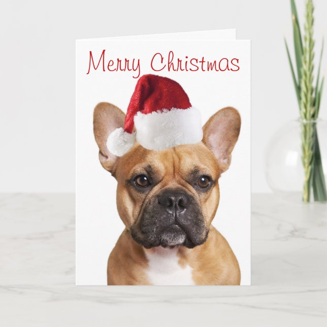 Tarjeta de Navidades de Bulldog de Francia (Anverso)
