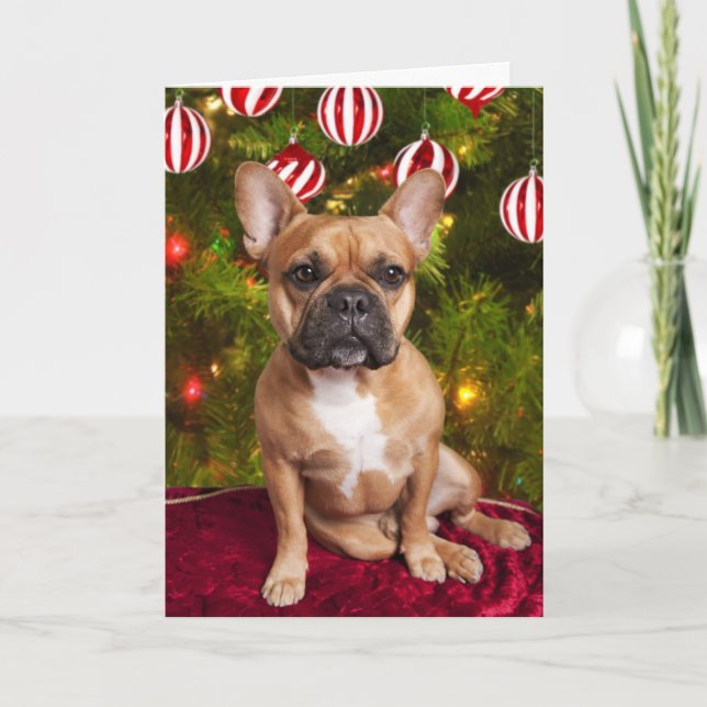 Tarjeta de Navidades de Bulldog de Francia (Anverso)