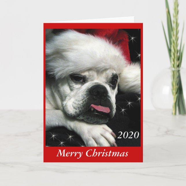 Tarjeta de Navidades de Bulldog inglés. (Anverso)