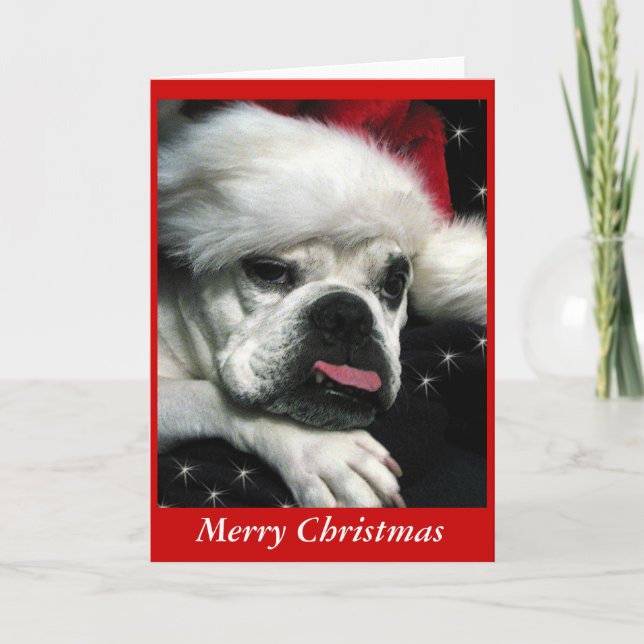 Tarjeta de Navidades de Bulldog inglés. (Anverso)