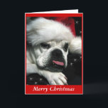 Tarjeta de Navidades de Bulldog inglés.<br><div class="desc">Hermosa foto digital de un viejo bulldog inglés en miniatura. Puede cambiar el color del fondo . Añade tu propio mensaje personal. Hay otros productos de Navidad de bulldog disponibles.</div>