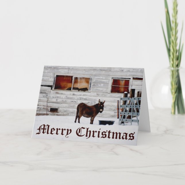 Tarjeta de Navidades de burro (Anverso)