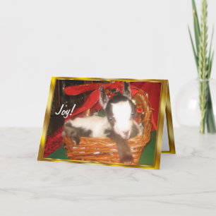 Tarjeta de Navidades de cabra para bebés