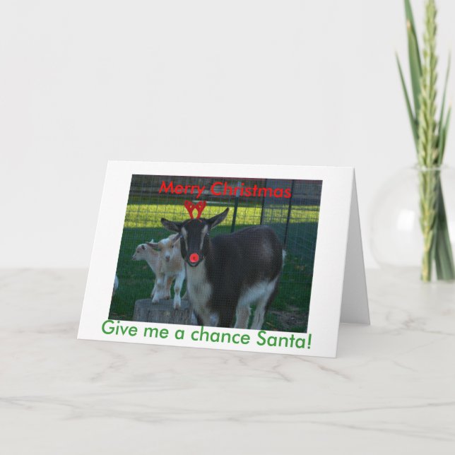 Tarjeta de Navidades de cabras de Nigeria (Anverso)