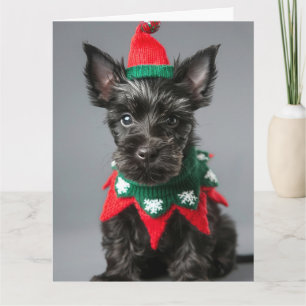 Tarjeta de Navidades de Cachorro de Elfo Terrier E