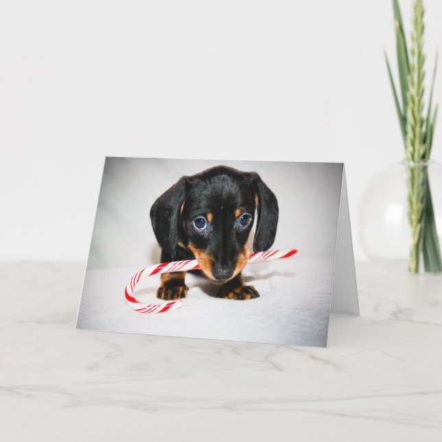 Tarjeta de Navidades de cachorros de Dachshund (Anverso)