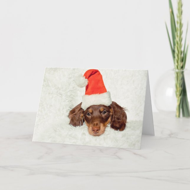 Tarjeta de Navidades de cachorros de Dachshund (Anverso)