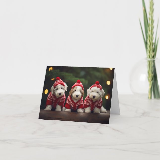 Tarjeta de Navidades de cachorros de Sheepdog ingl (Anverso)