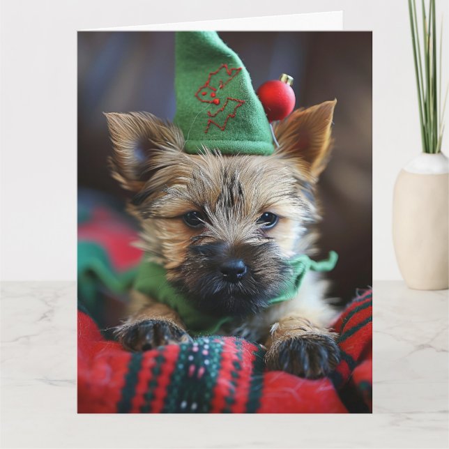 Tarjeta de Navidades de Cairn Terrier Elf Puppy (Anverso)