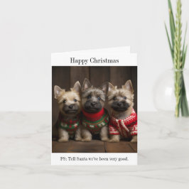 Tarjeta de Navidades de Cairn Terrier Puppies