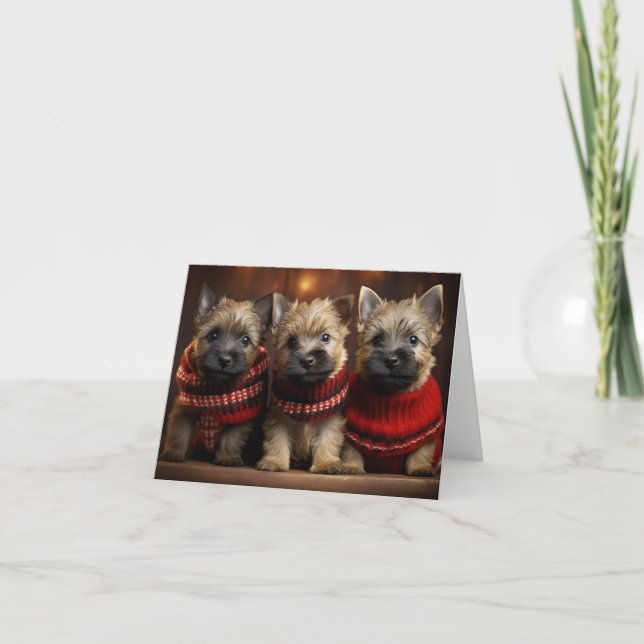 Tarjeta de Navidades de Cairn Terrier Puppies (Anverso)