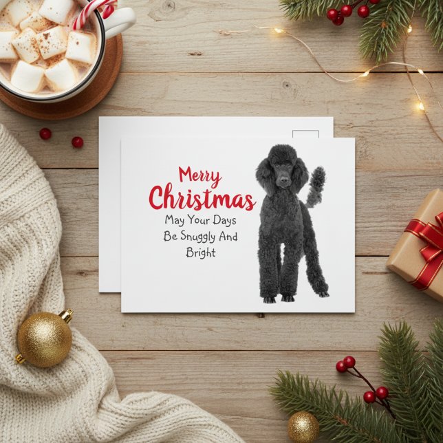 Tarjeta de Navidades de canapé estándar (Standard Poodle Christmas Card)