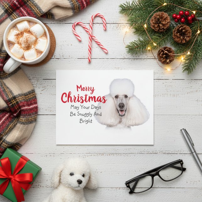 Tarjeta de Navidades de canapé estándar blanco (White Standard Poodle Christmas Card)