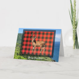 Tarjeta de Navidades de ciervos Buffalo Plaid Wood