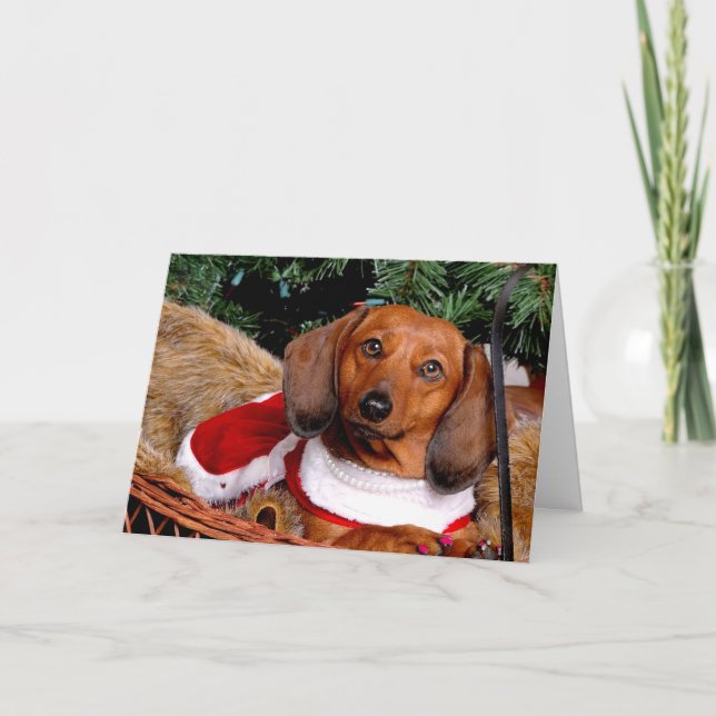 Tarjeta de Navidades de Dachshund (Anverso)