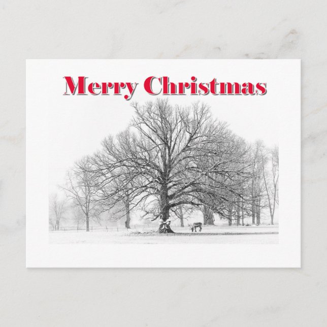 Tarjeta de Navidades de escenas de invierno (posta (Anverso)