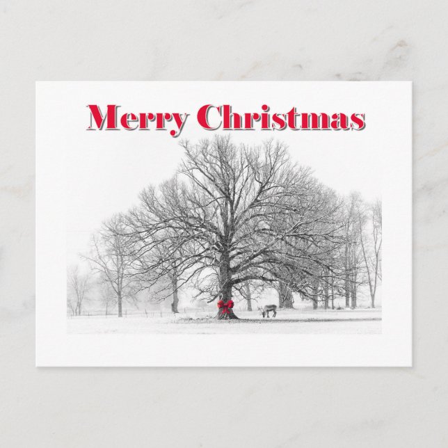 Tarjeta de Navidades de escenas de invierno (posta (Anverso)