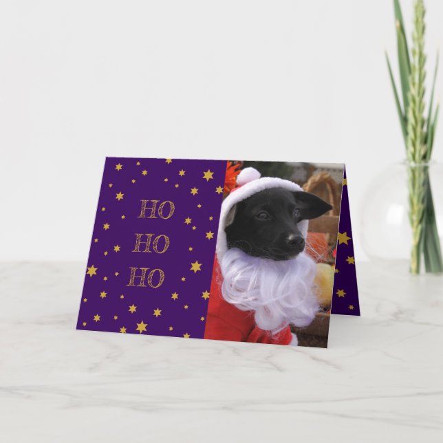 Tarjeta de Navidades de fotografía de perro o añad (Anverso)