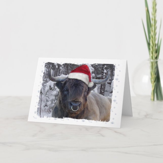 Tarjeta de Navidades de ganado de Highland (Anverso)